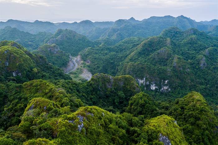 Découverte le parc national de Cat Ba 